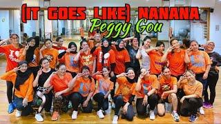 ( IT GOES LIKE ) NANANA | PEGGY GOU | ZUMBA | ZIN RIVA