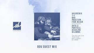 Bou Guest Mix - Skankandbass Summer Solstice