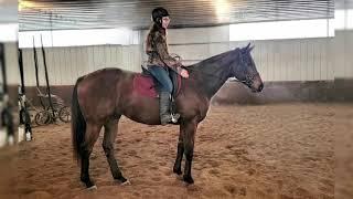 Flash Forcast "Oliver" - OTTB, 17h