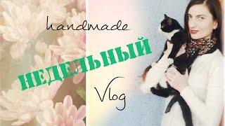 Вышивка крестиком: НЕДЕЛЬНЫЙ VLOG 33 | Lelya Lee