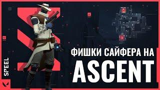 ФИШКИ САЙФЕРА НА КАРТЕ ASCENT - РАСТЯЖКИ, КАМЕРА, КЛЕТКИ