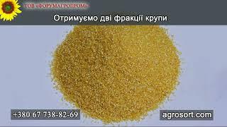 Машина для виробництва кукурудзяної крупи / Machine for the production of corn grits