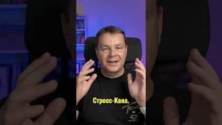 Помните дело Доминика Стросс-Кана?