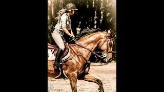 ||•Eqestrian sport•||•Crazy in love•||•Horse video•||