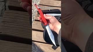 NAVAJA  испанский нож от DAGGERR #наваха #даггерр #складнойнож #daggerr #blade #discover