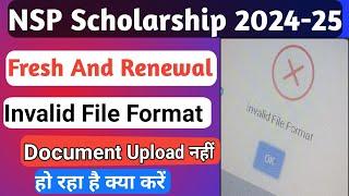 NSP Invalid File Format | Document Upload Problem | NSP 2024-25 Invalid File Format | Upload Problem