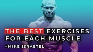 The BEST Exercises for Each Muscle – Mike Israetel