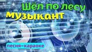 Шел по лесу музыкант. Лесной музыкант. Лесная песня караоке.