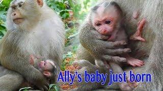 Congratulations Kidnapper Mama Ally Give A Birth New Born Baby Successfully For 2020