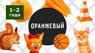 Оранжевый | Видео про оранжевый цвет для самых маленьких