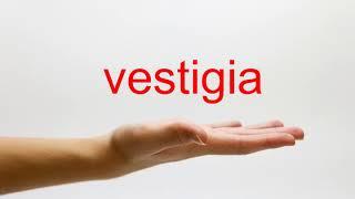 How to Pronounce vestigia - American English