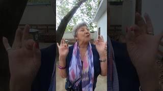 About uzbek meal