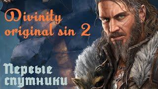 Divinity: Original Sin 2 первые спутники