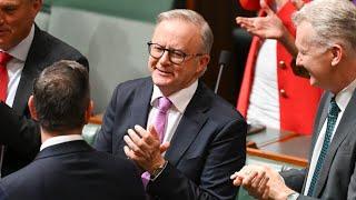 ‘Welcome to Albo-nomics’: $450m on two luxury jets for Albanese and ministers