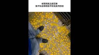 食物memes