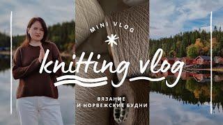 vlog 28/24 | связала топ из кашемира ️ мои приключения с кардиганом 🫣 я снова купила пряжу