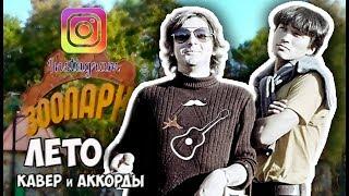 МАЙК НАУМЕНКО - ЛЕТО - ЗООПАРК (аккорды) cover guitar