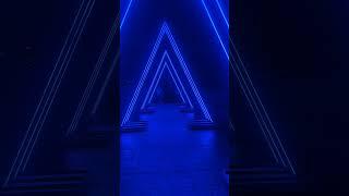 Almere's Light festival Alluminous #light #almere #shorts #festival #trending #viral #viralshorts