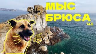 Мыс Брюса: Поход с собачьей стаей  | Владивосток, Дальний Восток, Море, VLOG Тревел Россия Природа