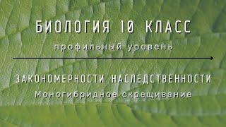 Биология 10 кл Проф уровень §49 Моногибридное скрещивание