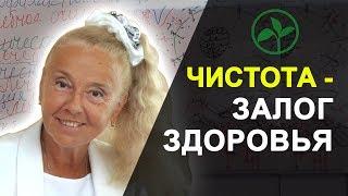 Почему необходимо очищение организма