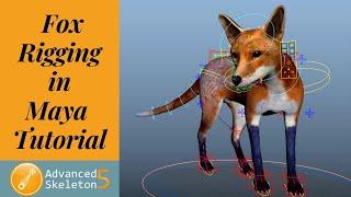 Fox Rigging in Maya / Advanced Skeleton Setup / Part -1