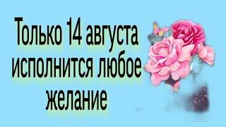 Только 14 августа исполнится любое желание. | Тайна Жрицы |