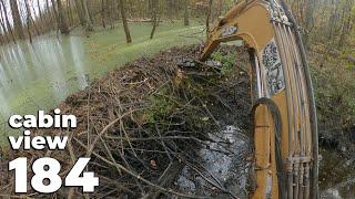 A Large Dam In The Middle Of The Forest - Beaver Dam Removal With Excavator No.184 - Cabin View