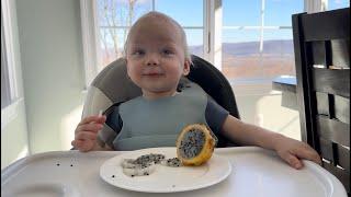 Baby Alexander with delicious dragon fruit …