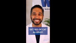 How to Get Rid of Cat Allergies Naturally