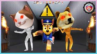 Paw Patrol Chase Pup Escape The Monster Zoo!  - 汪汪隊立大功逃離野獸監獄 - Roblox 機械方塊