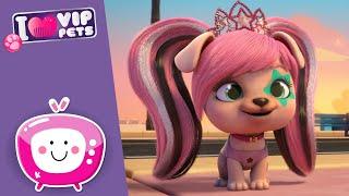  DJ GWEN  VIP PETS  New Episode  Cartoons for KIDS in ENGLISH