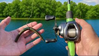 5 Bass Fishing Tips You'll Wish You Knew Sooner!!