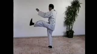 Benjamin Lo - 37 Movement Tai Chi