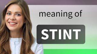 Stint | what is STINT definition