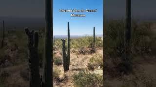 Visiting the Arizona-Sonora Desert Museum.