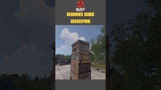  Everything About Bees Beehives & Honey - Rust Beginner Guide