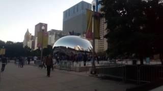 chicago bean