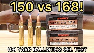 308 Winchester Barnes VOR-TX 150 vs 168 TTSX Ballistics Gel Ammo Test