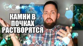 Реальная причина камней в почках