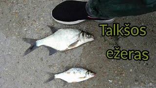 Mums kimba-  Žvejyba Talkšos ežere #2