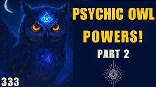 Owls & Psychic Powers: Rare Spiritual Meanings Revealed! Part 2!