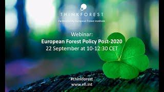 ThinkForest: European Forest Policy Post-2020