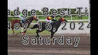 Badge Best Tips for Nov. 16, 2024 Saturday @ Metro Manila Turf Club Inc.