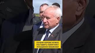 Почему корове нужно поставить памятник? Лукашенко объяснил #shorts #shorts #беларусь #лукашенко