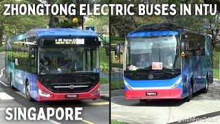 Zhongtong Electric Buses at Nanyang Technological University Singapore [ComfortDelgro]