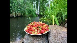 Пруд на участке Естественный водоем Спуск к воде