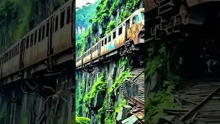 Travel_Exploring_Train_and_spider रहस्यमई जंगल #nature #facts #krdfacts #amazing