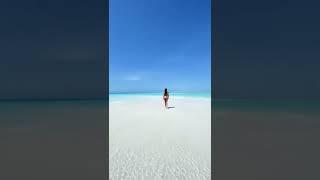 #short_video #travel #maldives #tiktok #youtube #voyage #walking #amazing #beautifulplaces