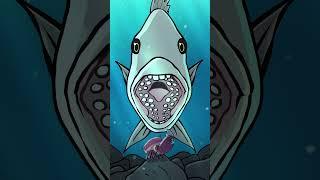 Sheepshead  #animation #original #cartoon